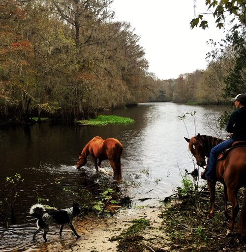 Down by the River