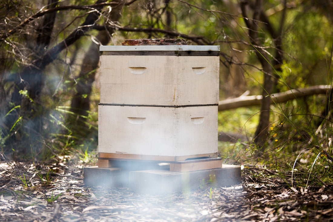 Raising Bees On Your Farm